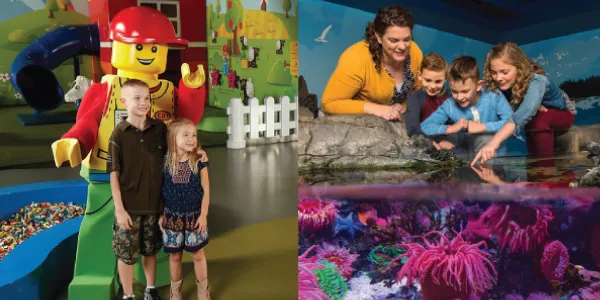 Combo Ticket LEGOLAND Discovery Center + SEA LIFE