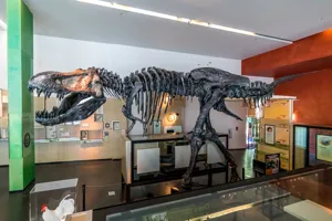 Cranbook Science Museum 2