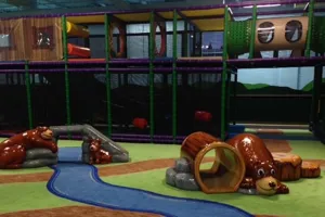 Rochester Play