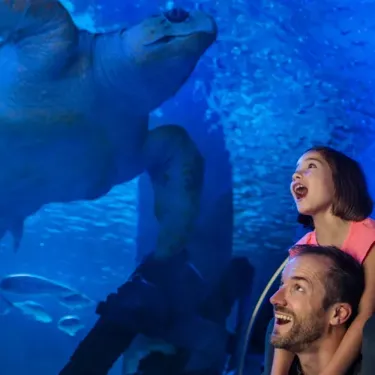 Sea Life